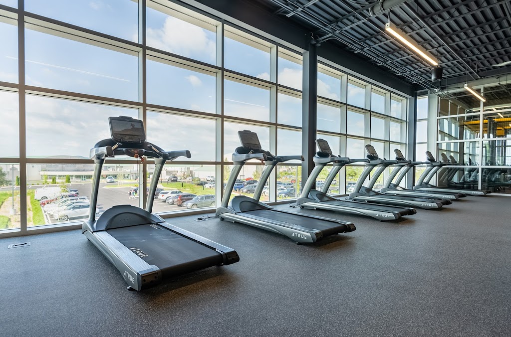  YMCA, Natelli Family