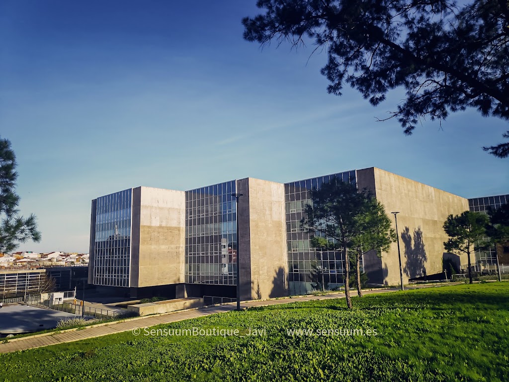 D. Gral. de Personal Docente