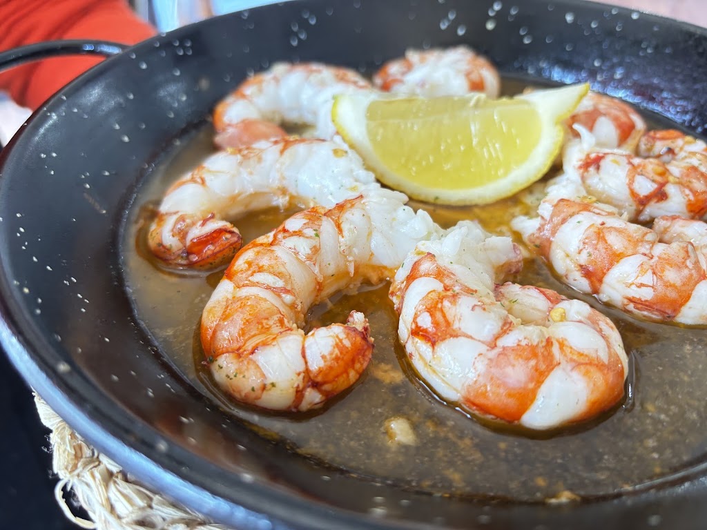 Terrazalosjardines 1 — Mas recientes