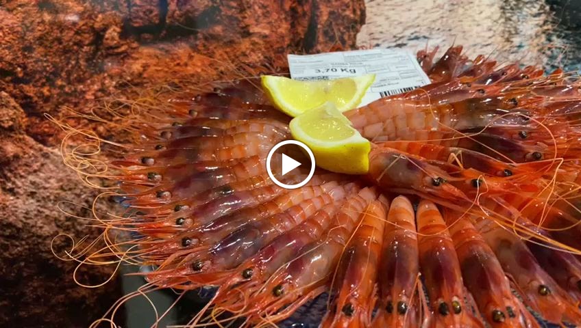 Centro de la 3a Edad de Las Norias