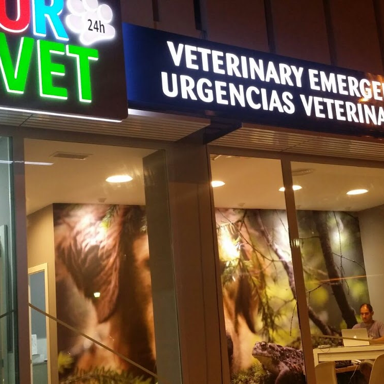 Urvet Marbella Urgencias Veterinarias — Del propietario