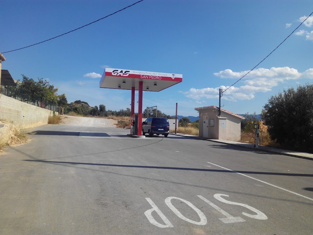 Gasolinera San Pedro