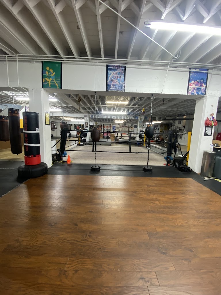  Solis Boxing