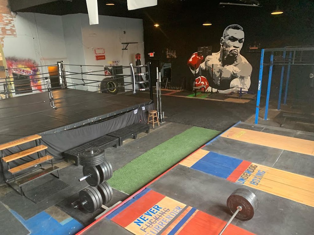  Underdog Boxing Gym