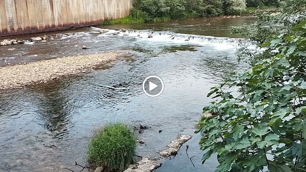 Paseu fluvial del riu Caudal — Videos