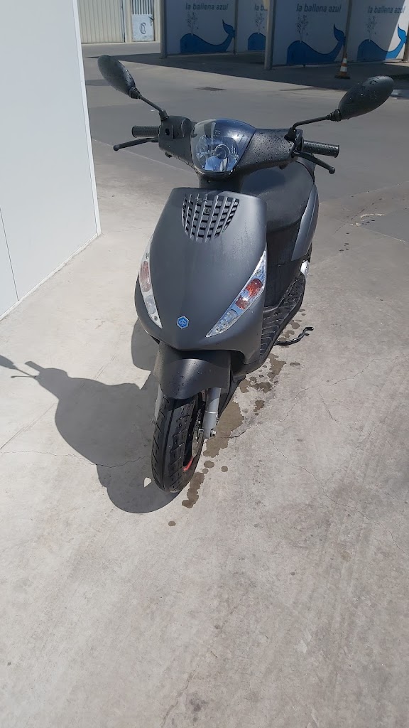 La Ballena Azul