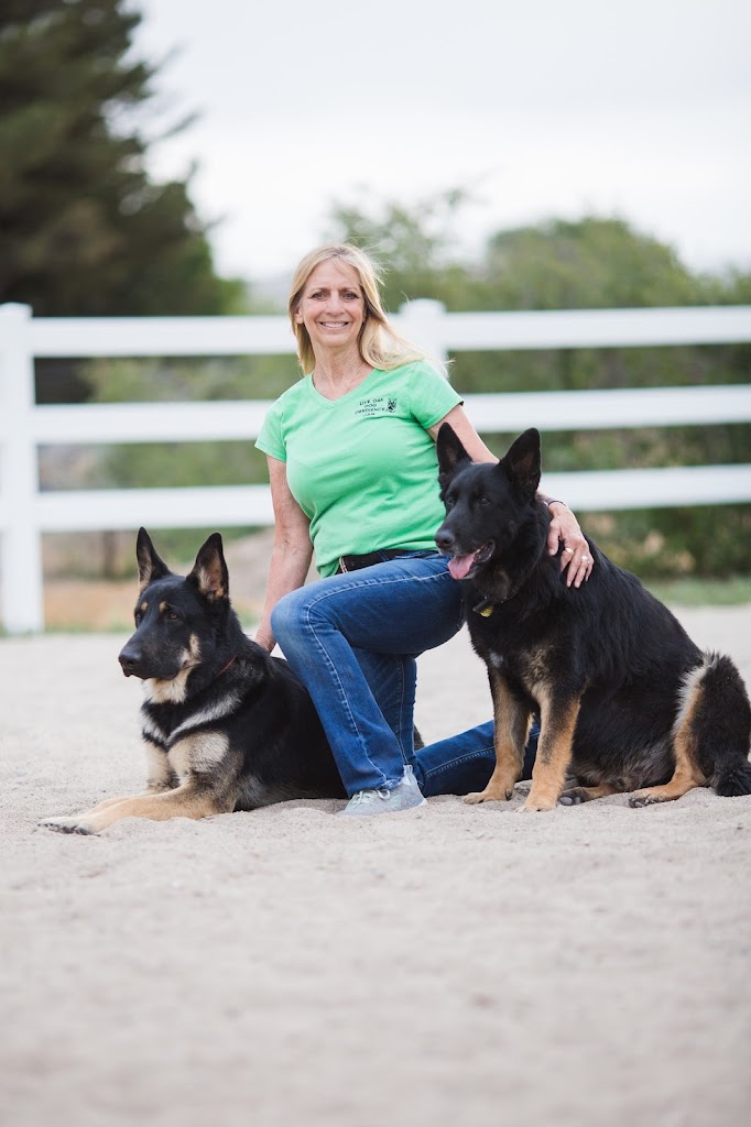 Live Oak Dog Obedience Utah in Riverton