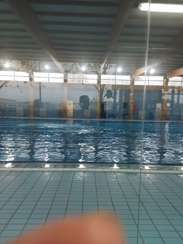 Piscina Coberta Ontinyent — Piscina