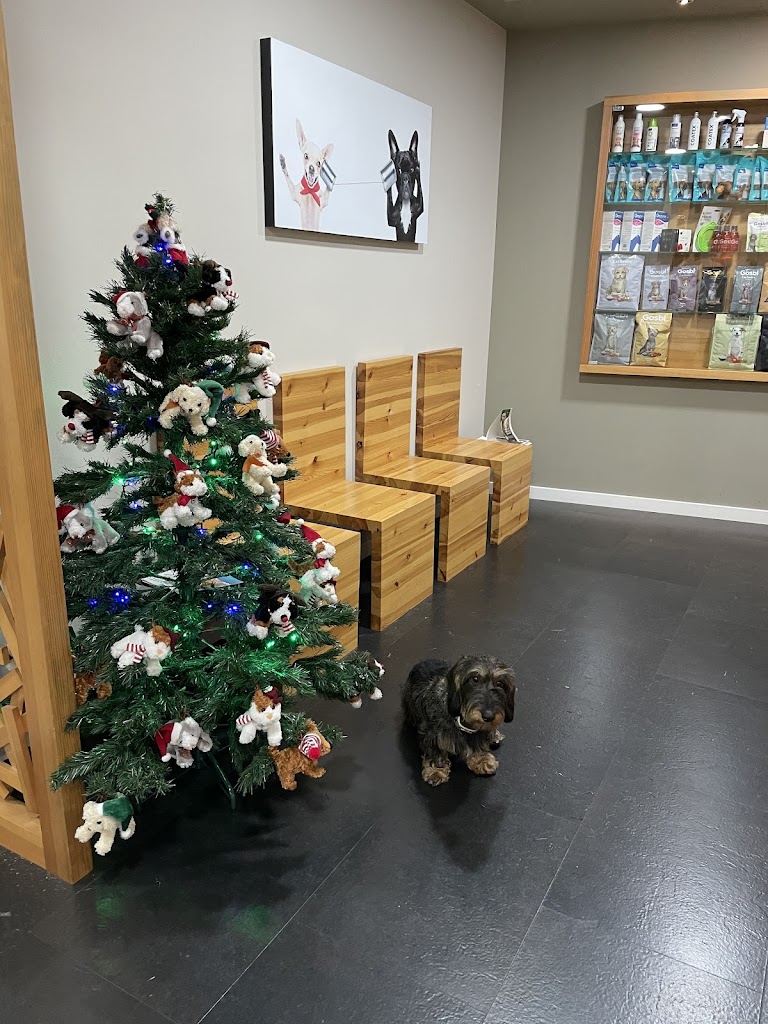 Clinica Veterinaria Clarin — Del propietario