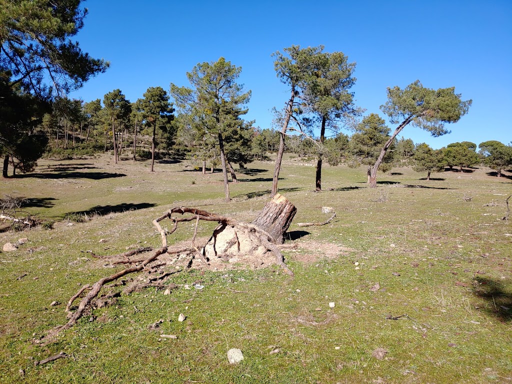 Ruta del Cuervo