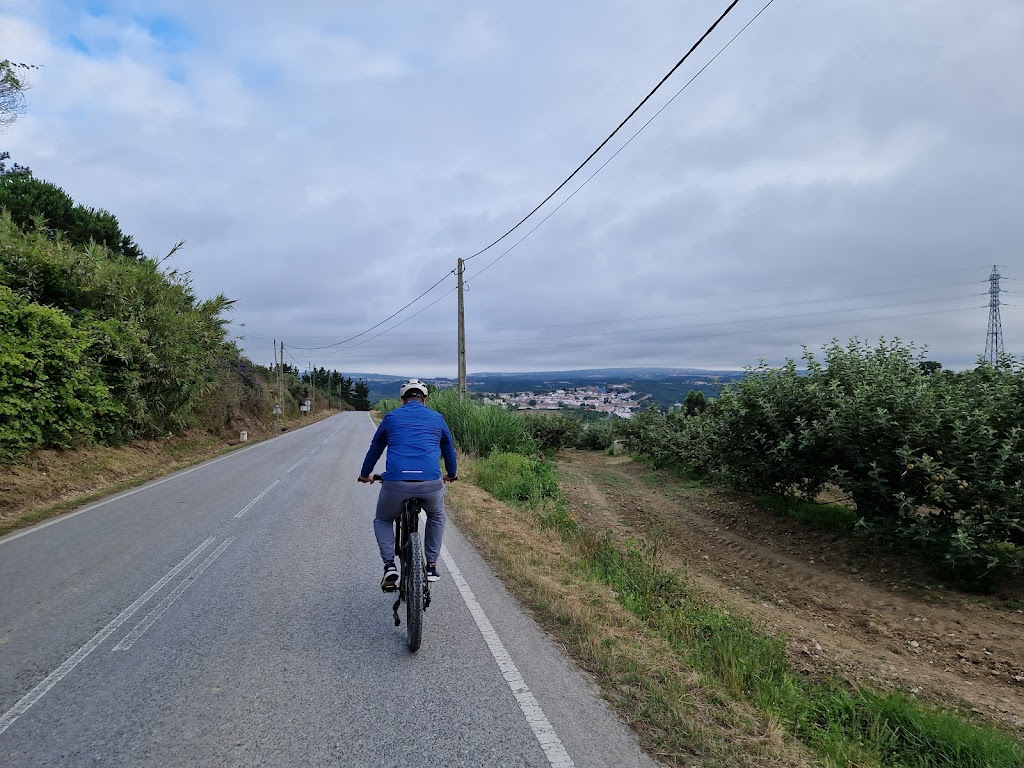 Serviço de Aluguer de Bicicletas em Obidos