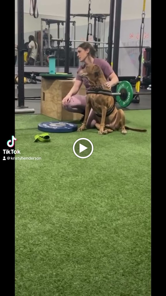  The Gym Lab Personal Training