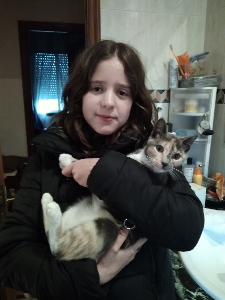 Clinica Veterinaria Ars Canis — Gato