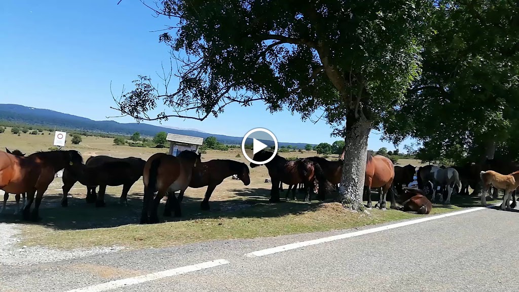 Nissan | Blendio Perez Repuestos — Videos