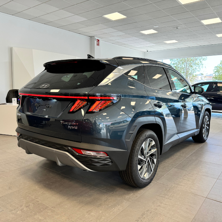 Hyundai Autoalmenar Gandia — Del propietario