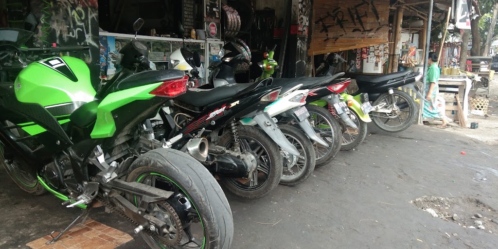 BTRS motor