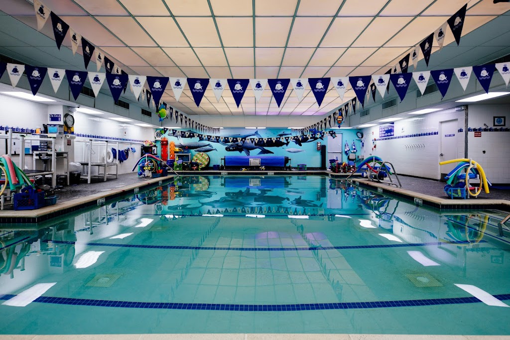  La Petite Baleen Swim Schools