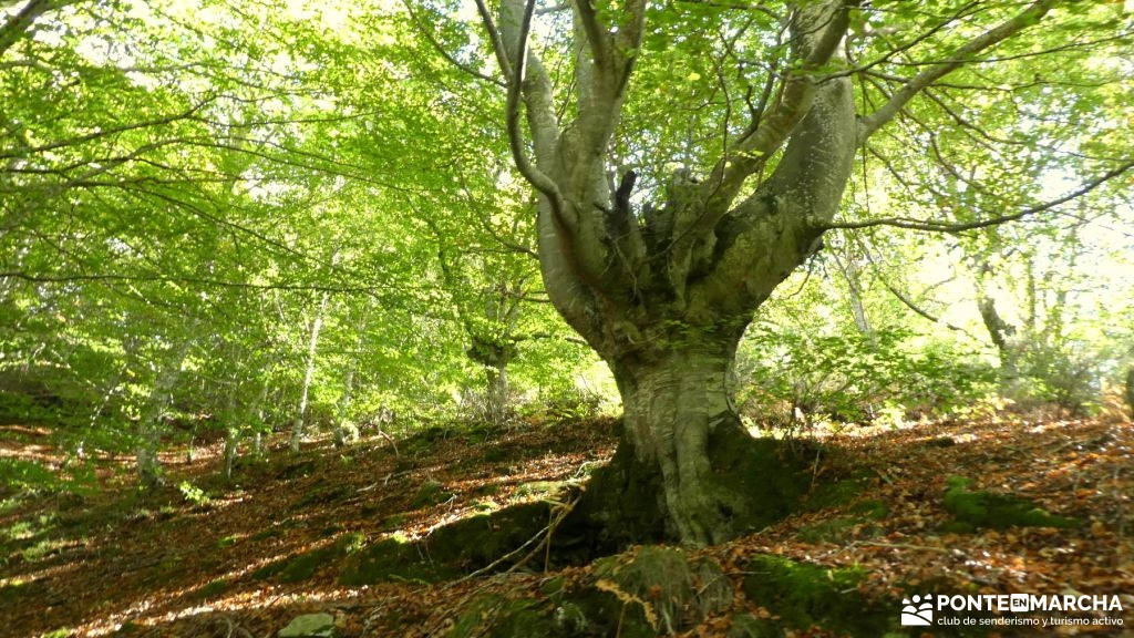 Club de Senderismo y Turismo Activo Ponte en MARCHA