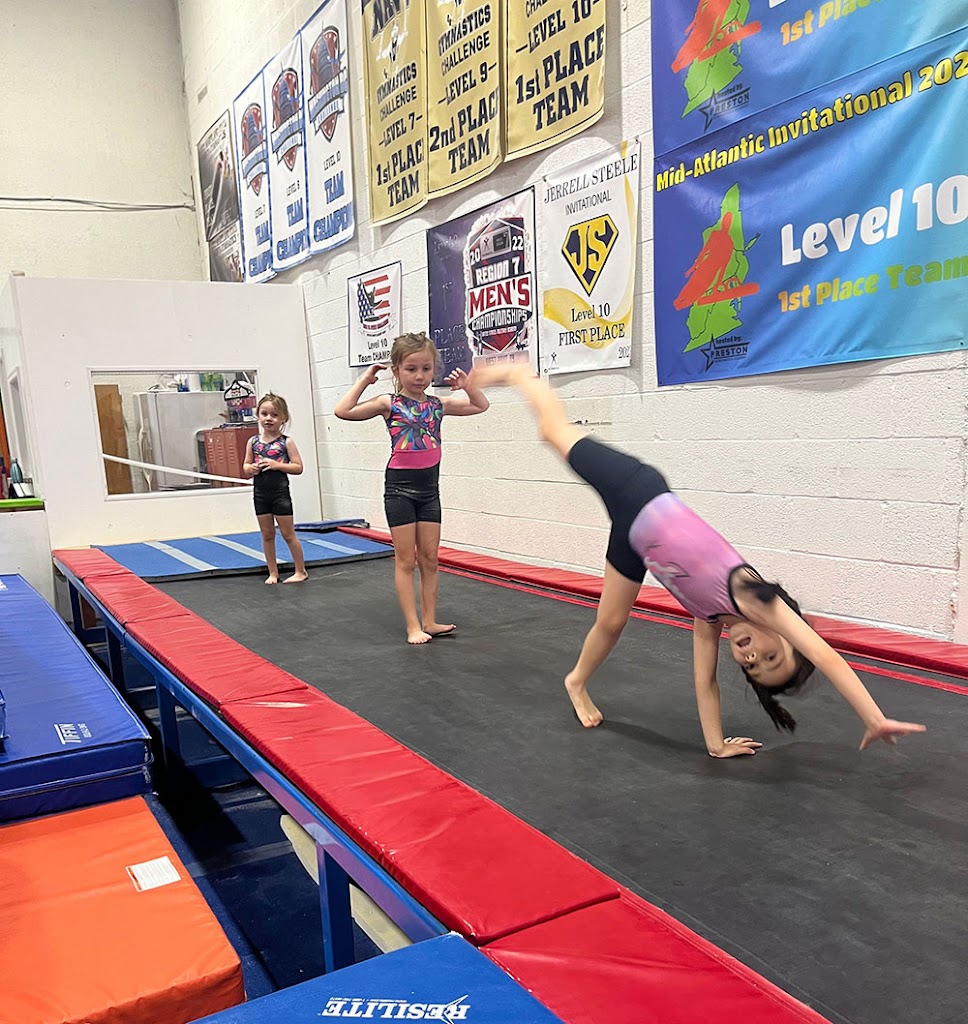 Paragon Gymnastics