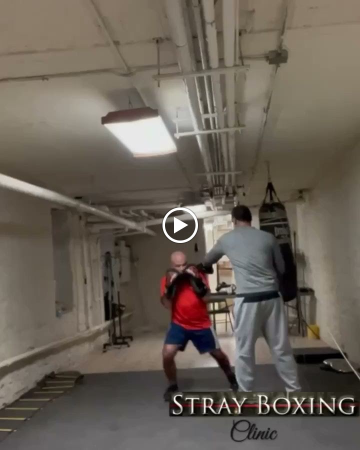  Stray Boxing Clinic