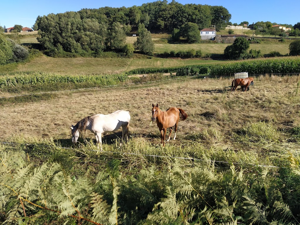 Ruta da Auga, Fonte e Lavadoiros de Parada