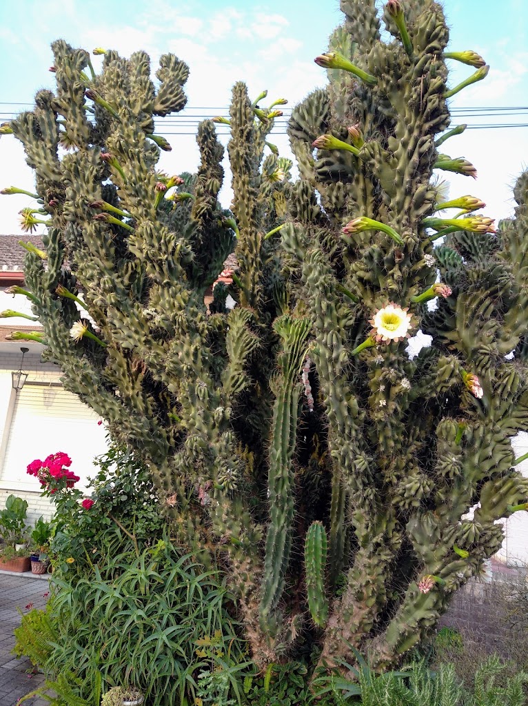 Autolavado SPORT WASH