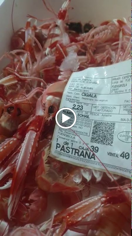 Bar restaurante El Manjar — Videos
