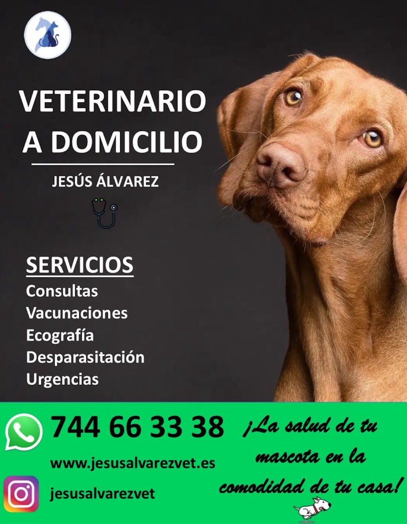 Clinica Veterinaria Puerta Europa — Del propietario