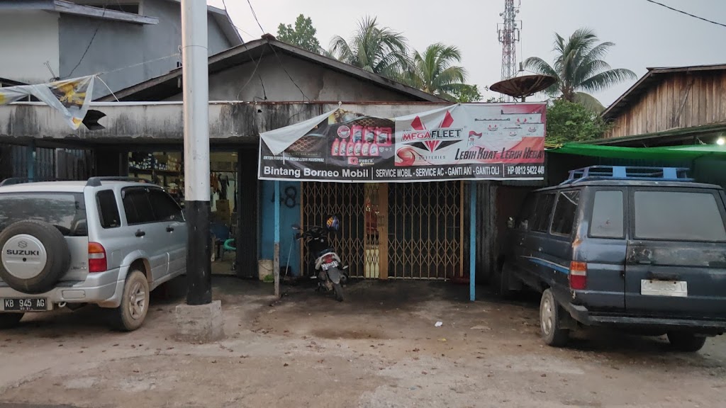 bintang borneo mobil