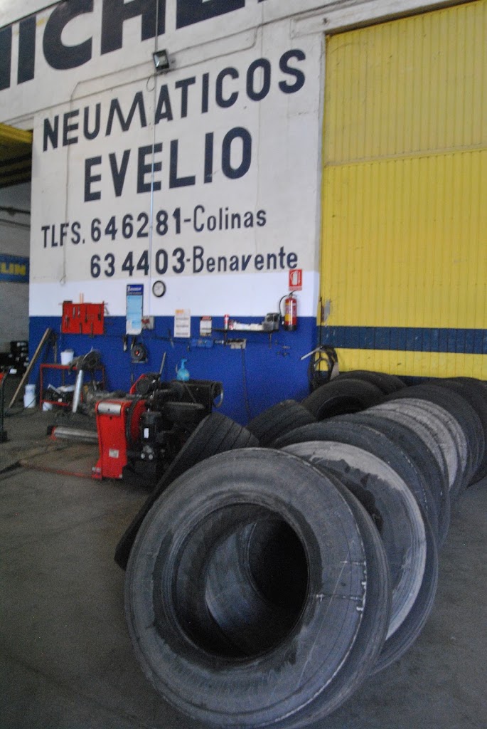 Neumaticos Evelio Benavente — Todas