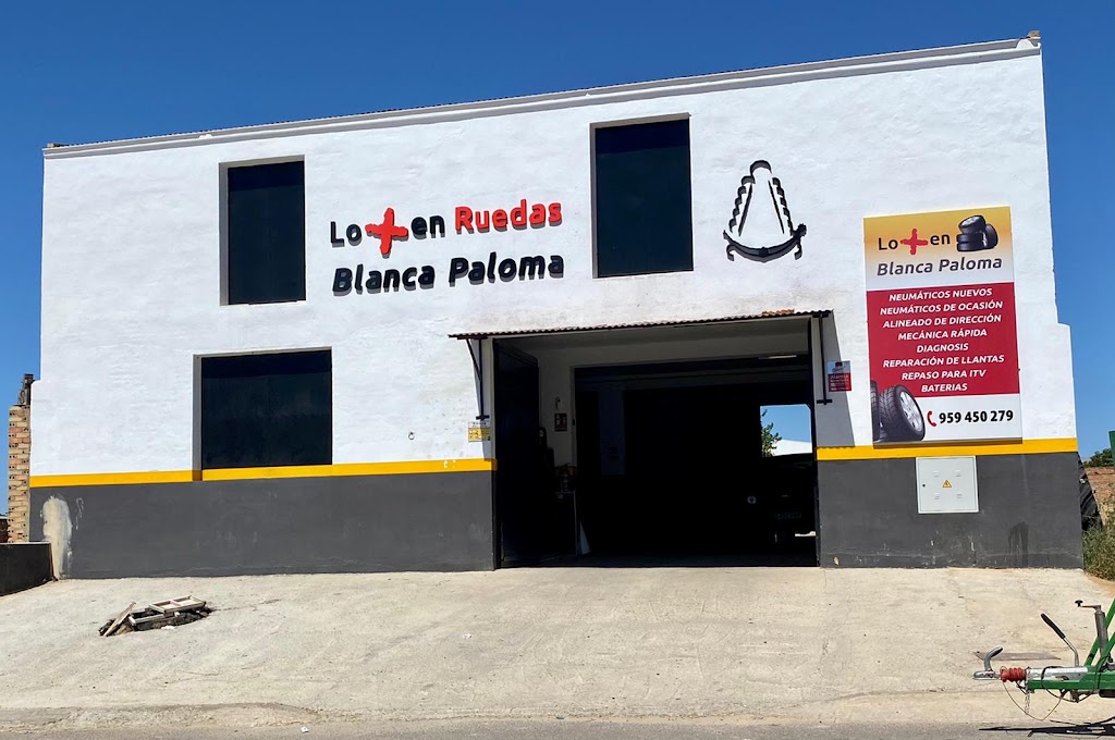 Lo mas en ruedas Blanca Paloma