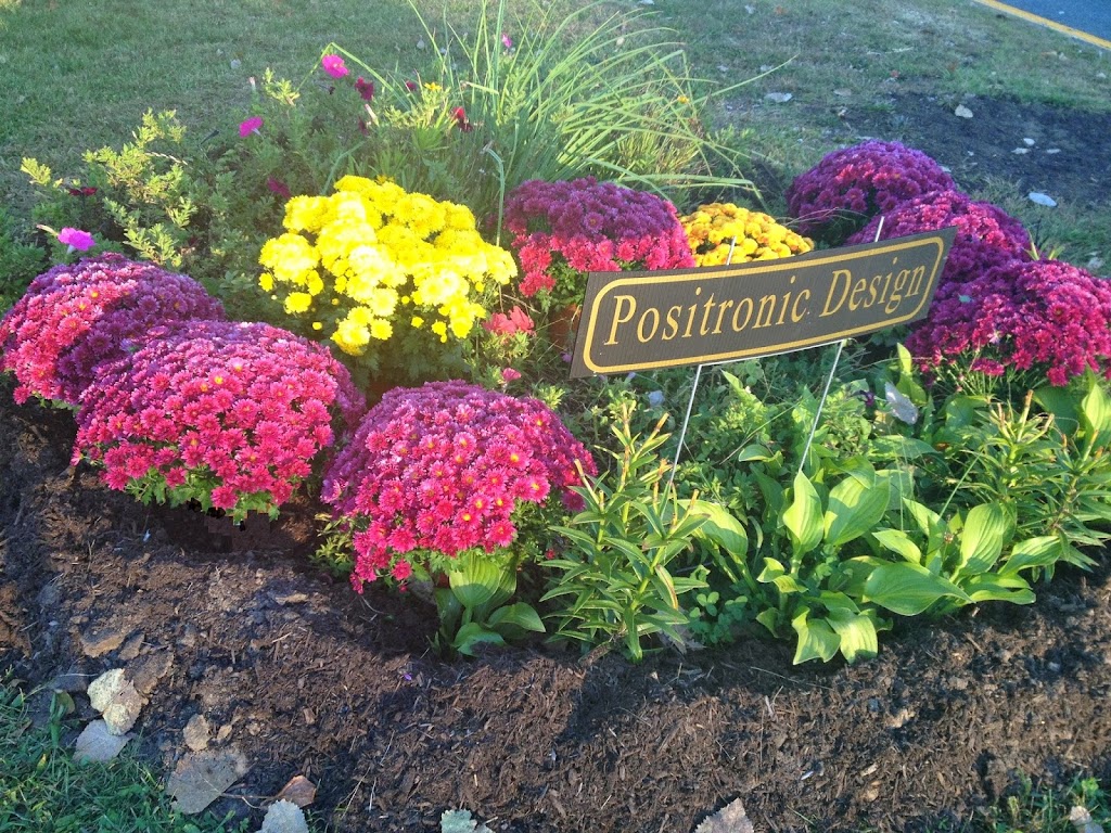 Positronic Design