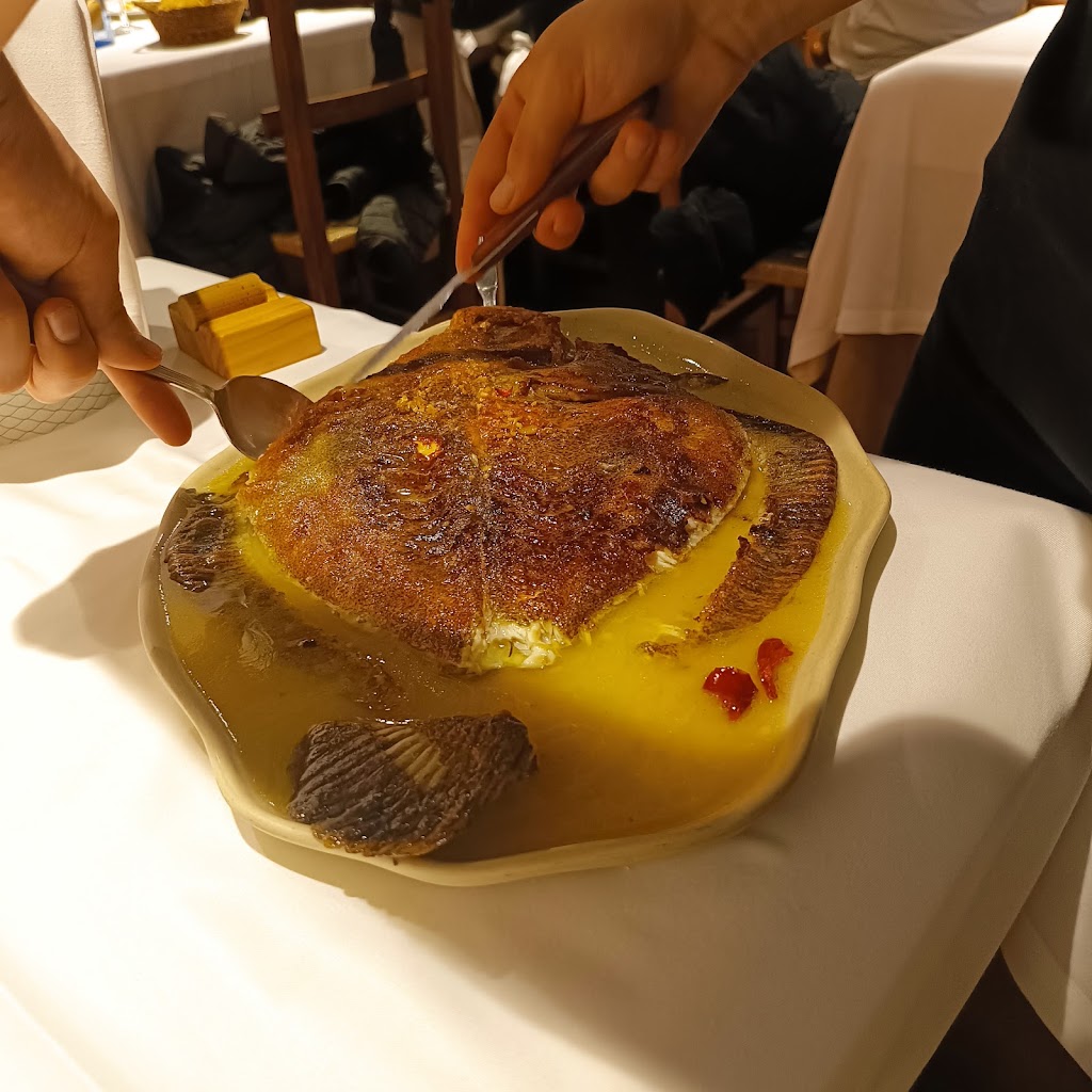 Cerveceria Solar — Mas recientes