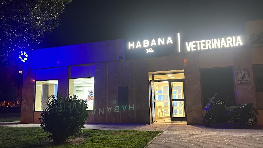 Habana Vets Fuenlabrada