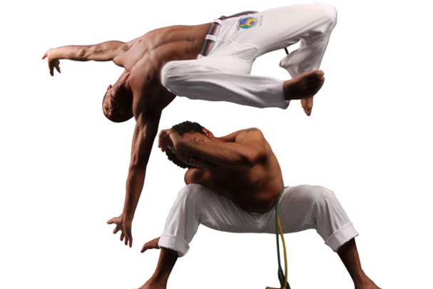  Freestyle Martial Arts Academy