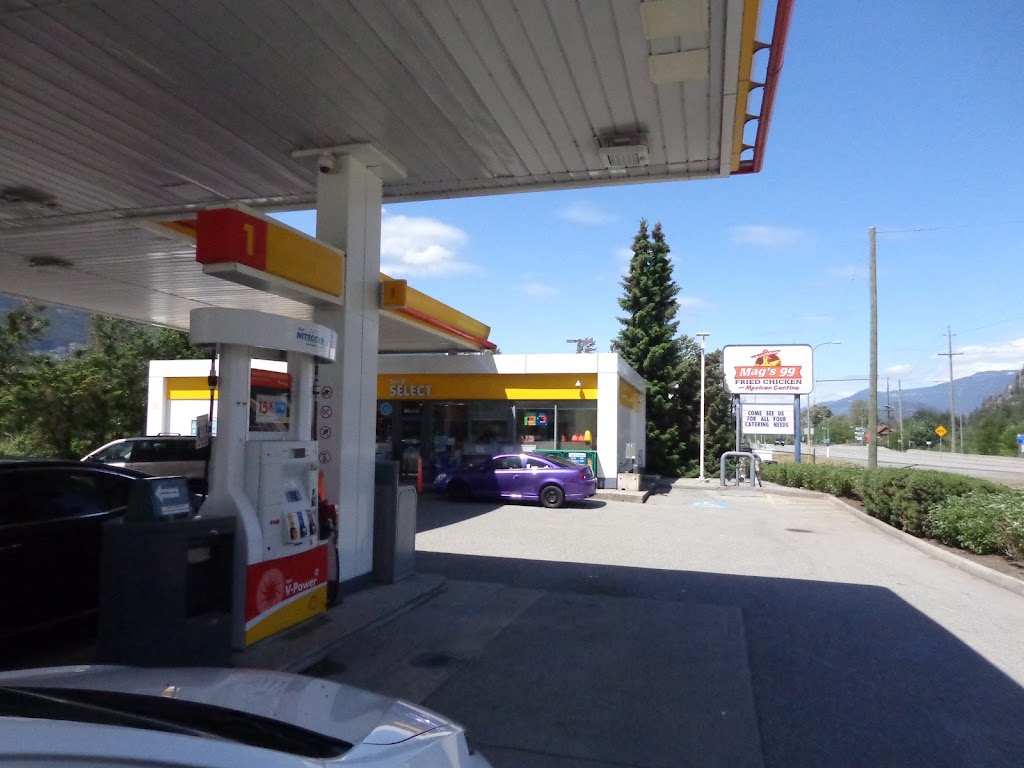 Gasoline pump