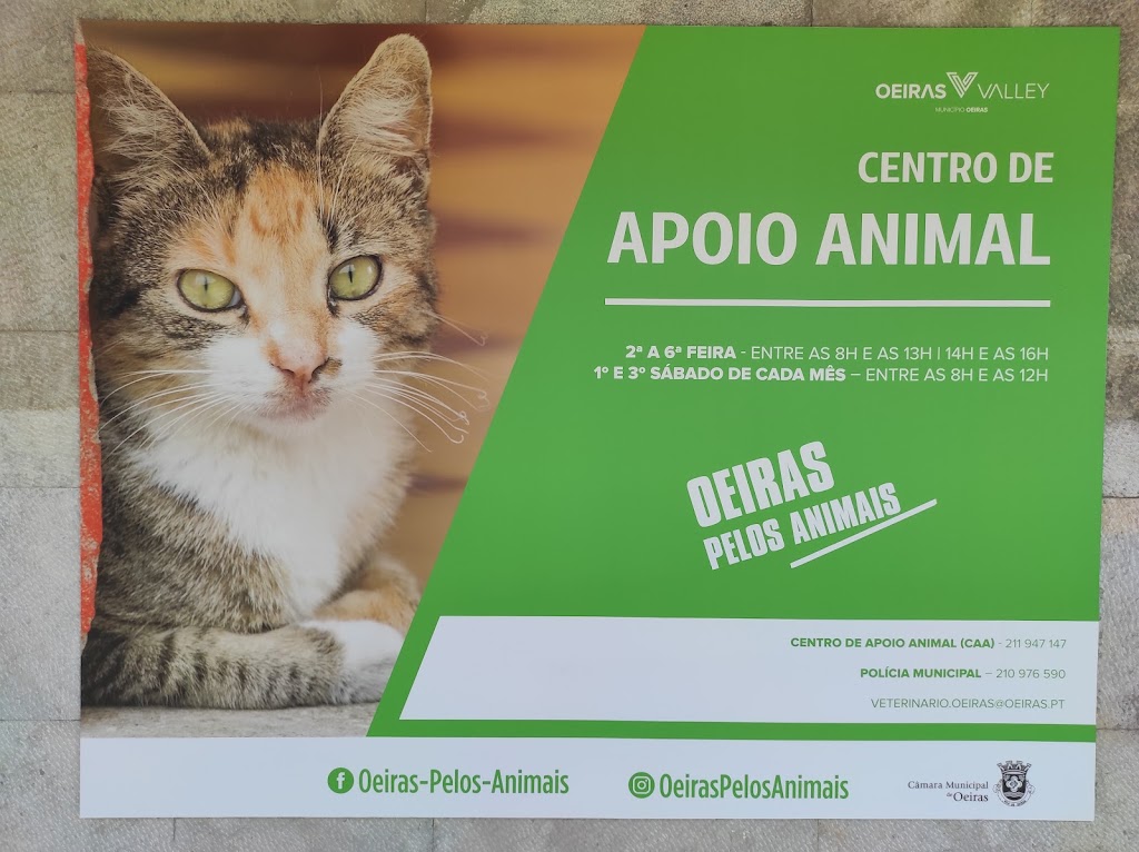 Gato