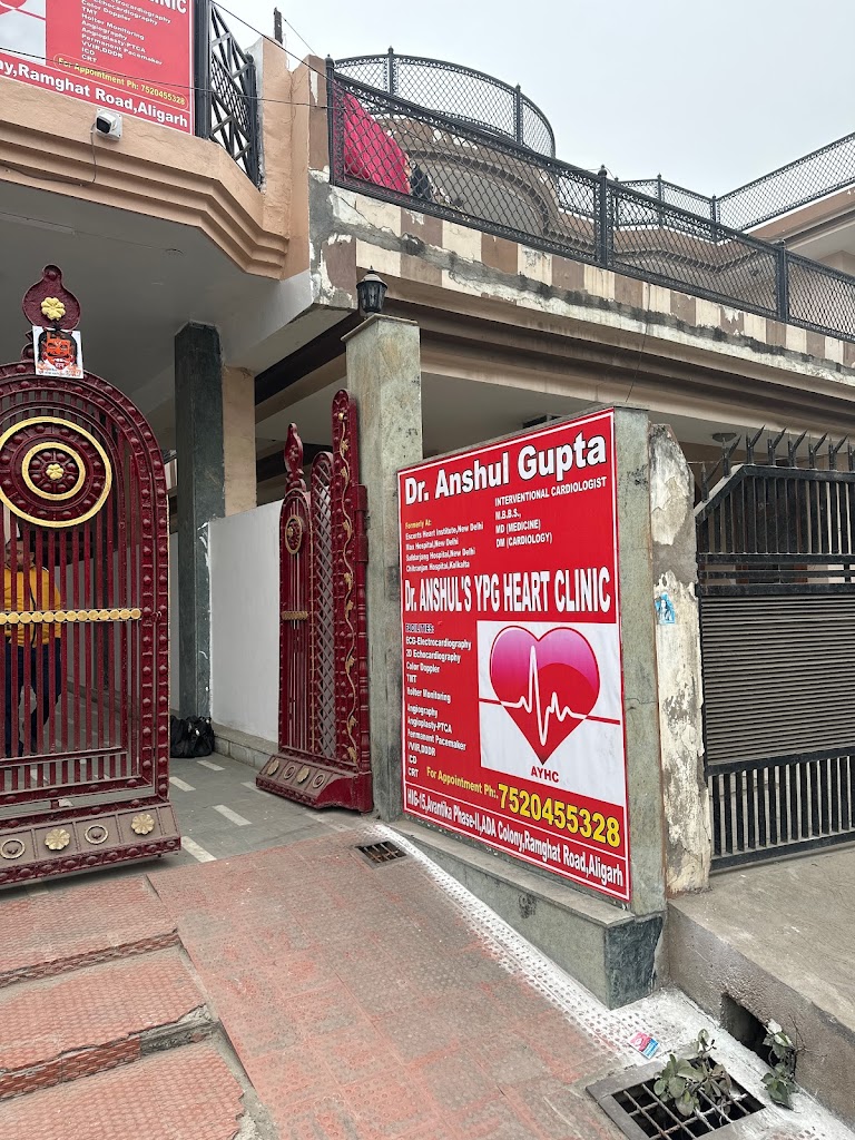Dr. Dr Anshul S Ypg Heart Clinic