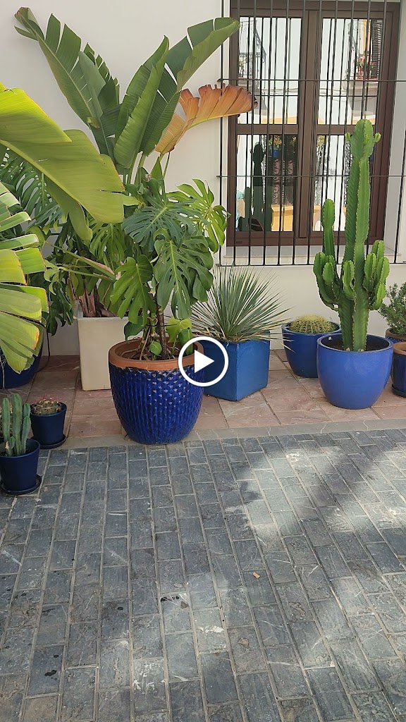 Restaurante LA MARINA DE MIGUEL — Videos