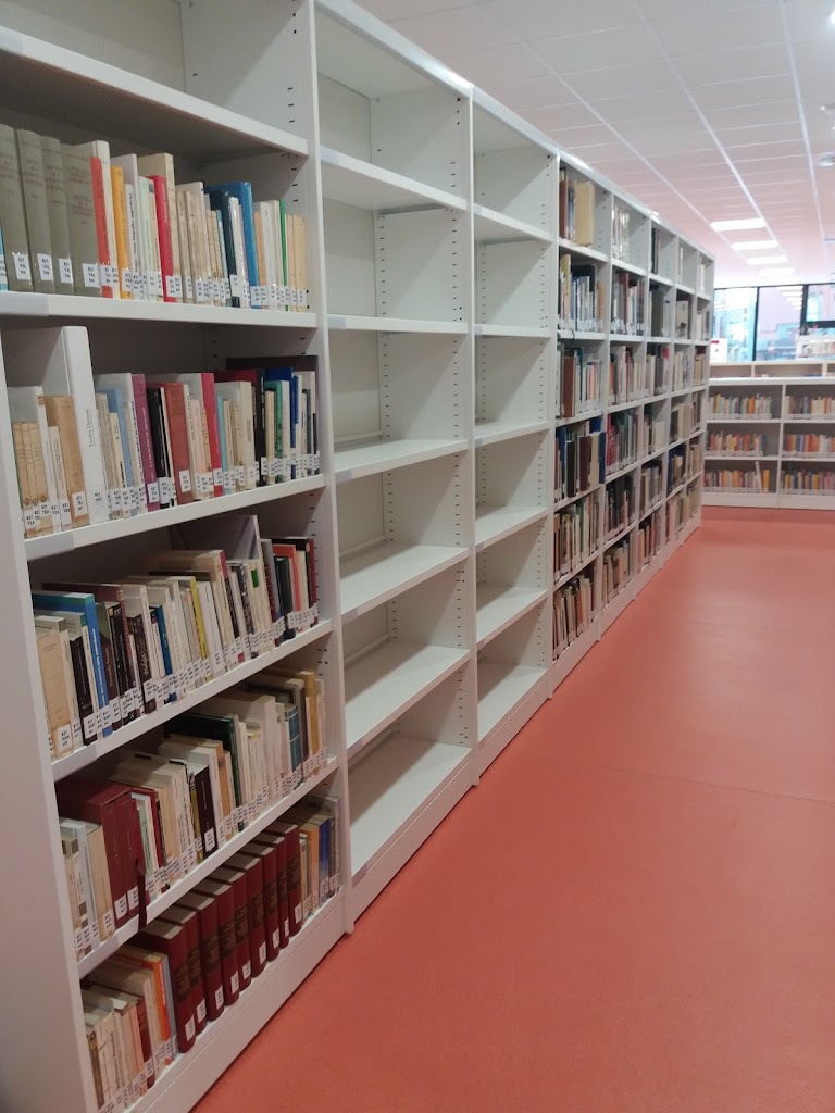 Biblioteca Publica Xelo Carbonell Company