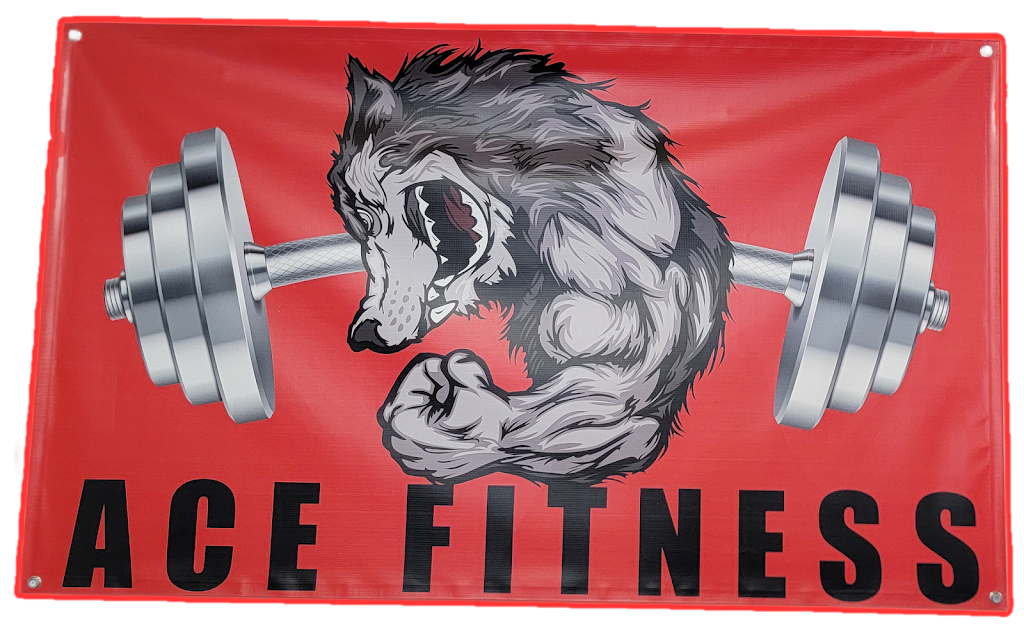  Ace Fitness