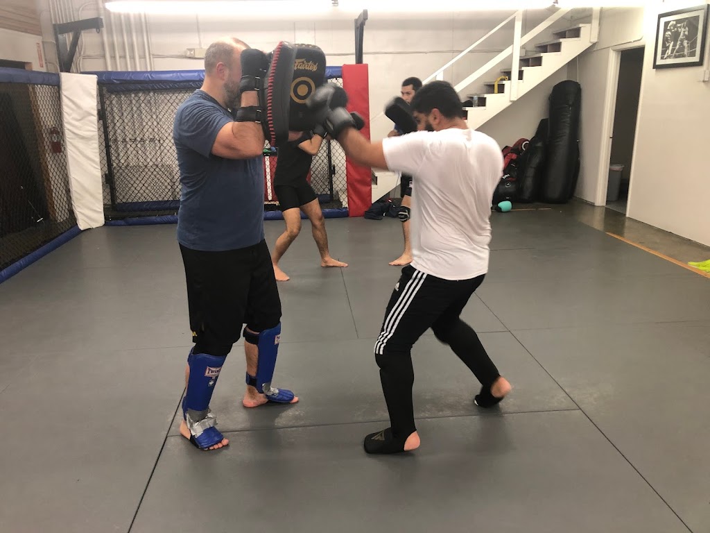  Ludusport Academy & Gym