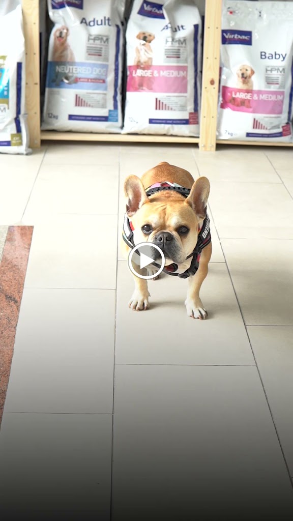 Clinica Veterinaria Vetpineda — Del propietario
