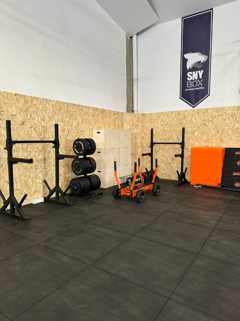 Sny box La laguna — Gimnasio