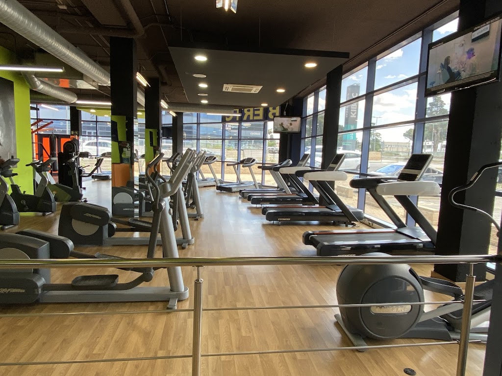 Fitness-Place Arganda