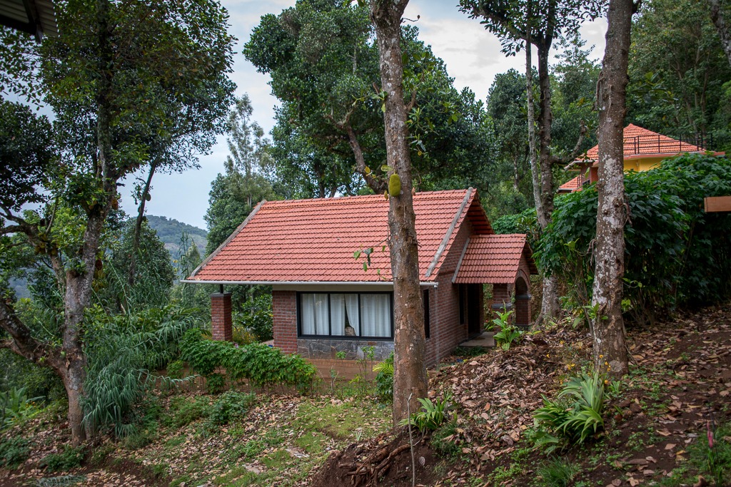 Plumeria Eco Trails
