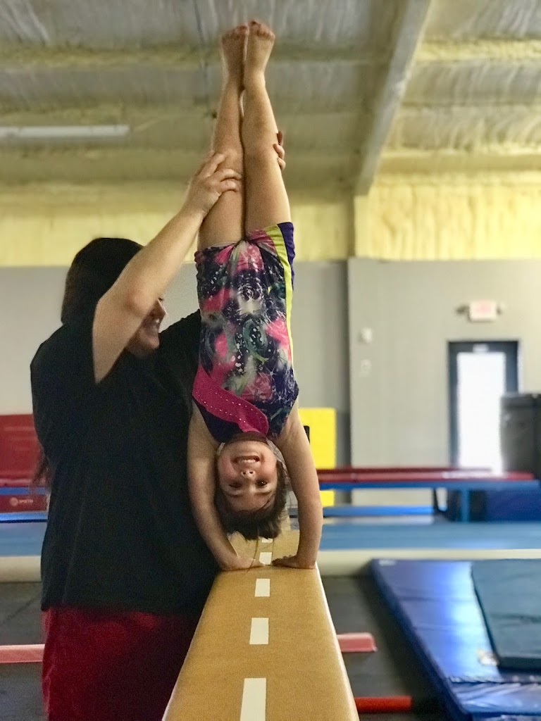  Lone Star Gymnastics Academy