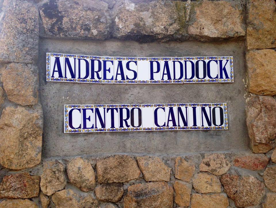 Residencia Canina Madrid Andreas Paddock