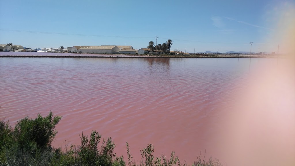 Las charcas — Mirador Charcas Rosadas/Pink Lake Viewpoint