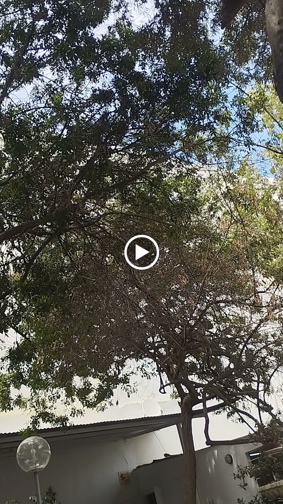 Bar Labradores — Videos